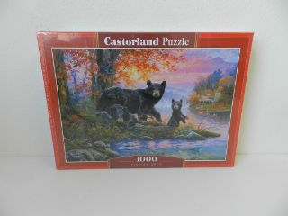 Obrázek z Puzzle medvědí rodina 1000 dílků  